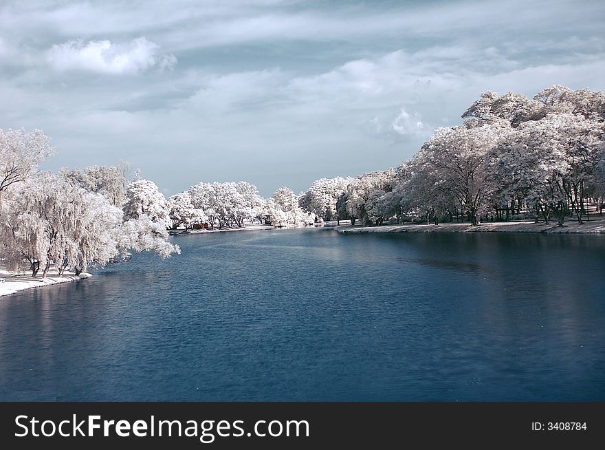 A riverside taken in IR to give the trees a snowy effect. A riverside taken in IR to give the trees a snowy effect.