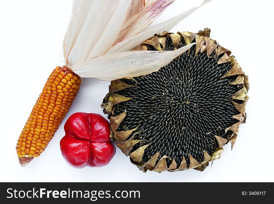 Red bellpepper corn and sunflower disc composition over white. Red bellpepper corn and sunflower disc composition over white