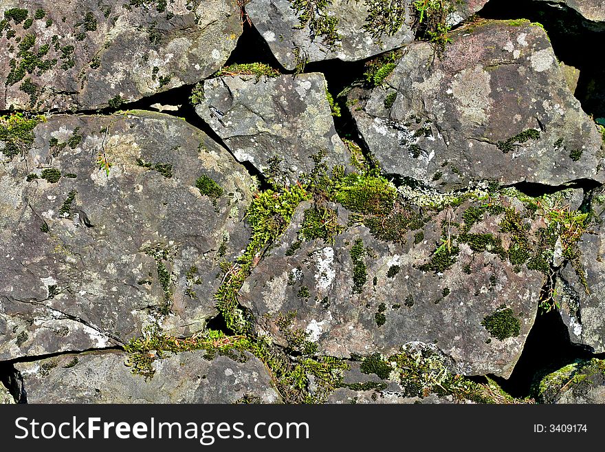 Rich lush northwestern moss and folliage covers an aged rock retention wall at the Oregon coast tourist attraction of Multnomah Falls. Rich lush northwestern moss and folliage covers an aged rock retention wall at the Oregon coast tourist attraction of Multnomah Falls.