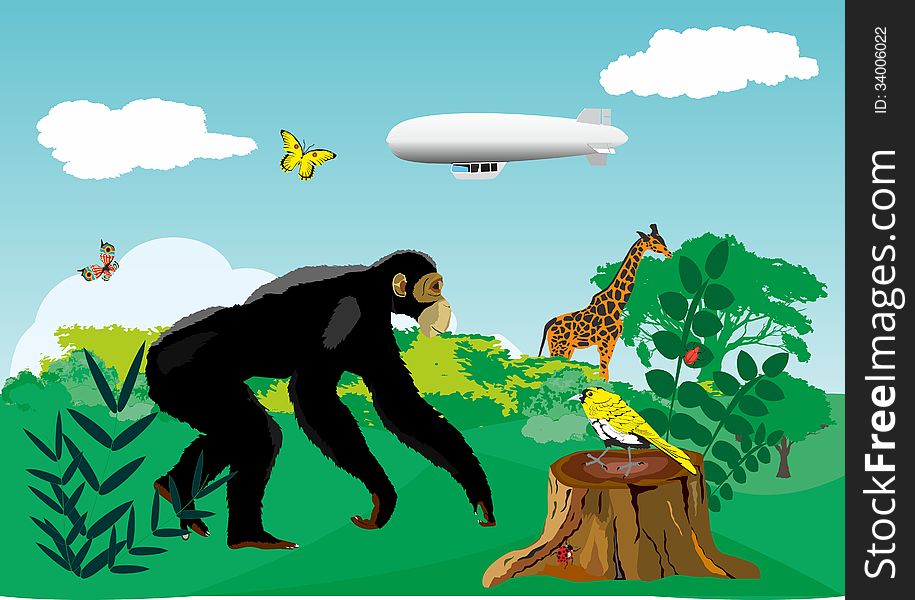 Vector illustration of monkey in jungle. Vector illustration of monkey in jungle