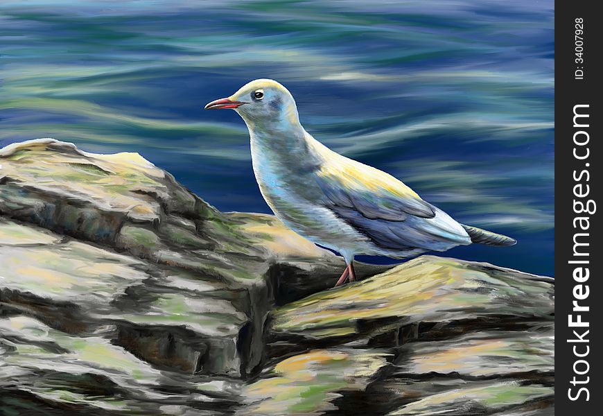 Seagull resting on some rocks near to the sea. Digital illustration.