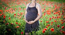 Pregnant Happy Woman In A Flowering Poppy Field Royalty Free Stock Image