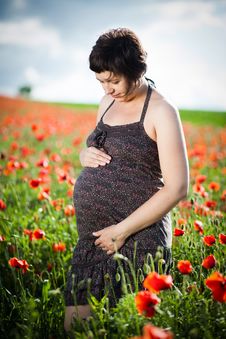 Pregnant Happy Woman In A Flowering Poppy Field Stock Photography