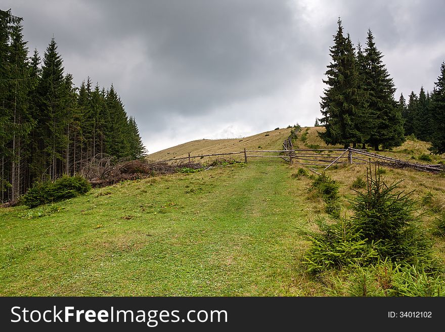 Entrance to the high pastures. The nature of the Carpathian Mountains. Entrance to the high pastures. The nature of the Carpathian Mountains.