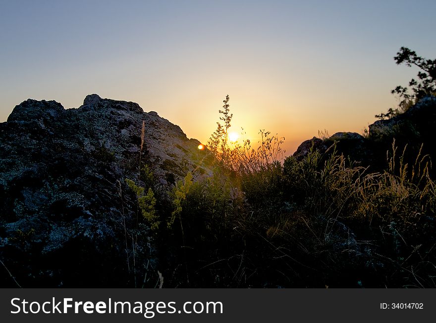 Sunrise Silhouetting Plant and Grasses near Elbrus Mountains Outdoors. Sunrise Silhouetting Plant and Grasses near Elbrus Mountains Outdoors