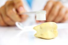 Dental Hygiene Concept Stock Photography Dental Hygiene Concept Stock Photography