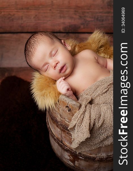 A newborn baby boy sleeping in an antique wooden well bucket. Shot in the studio with a sheepskin rug and rustic wood background. A newborn baby boy sleeping in an antique wooden well bucket. Shot in the studio with a sheepskin rug and rustic wood background.