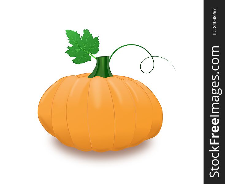 Pumpkin With Leaf And Curl