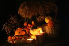 Halloween Royalty Free Stock Images Halloween Royalty Free Stock Images