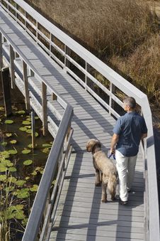 Man And Dog On Boardwalk In Wetland Royalty Free Stock Photos Man And Dog On Boardwalk In Wetland Royalty Free Stock Photos