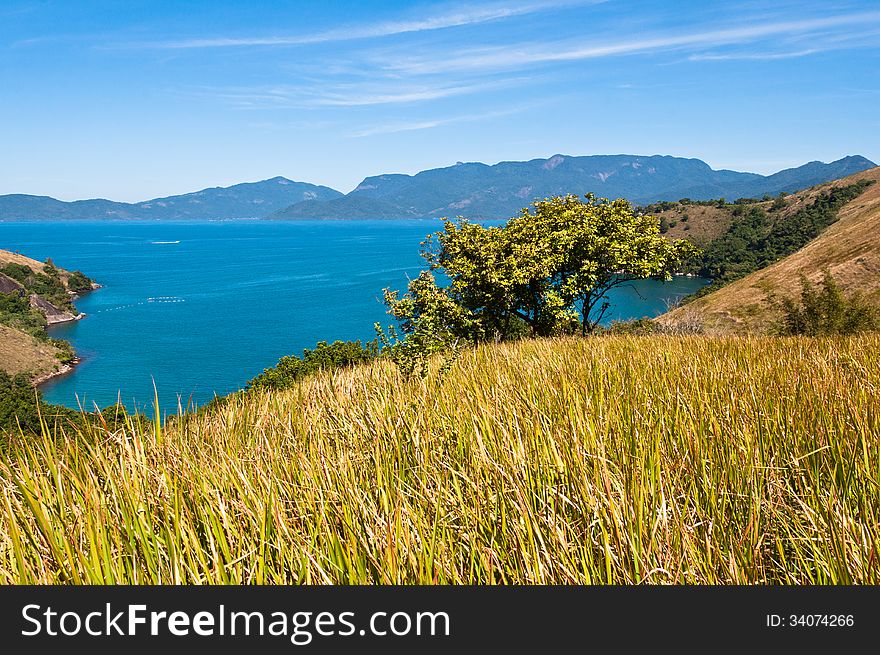 Grass Field With An Ocean And An Island In The Horizon.