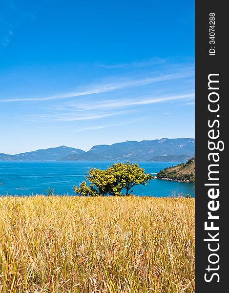 Grass Field With An Ocean And An Island In The Horizon.