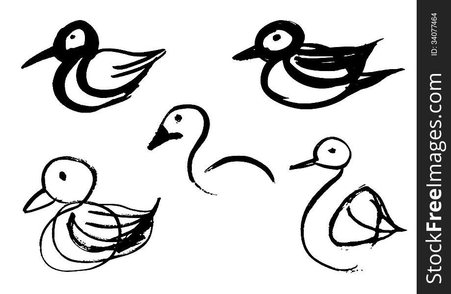 Hand drawn balck bird sketches