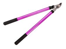 Tree Pruning Tools Stock Photo Tree Pruning Tools Stock Photo