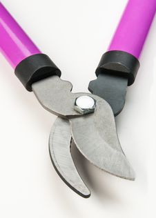 Tree Pruning Tools Royalty Free Stock Photography Tree Pruning Tools Royalty Free Stock Photography