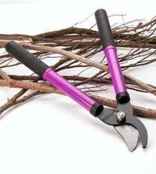 Tree Pruning Tools Royalty Free Stock Photos Tree Pruning Tools Royalty Free Stock Photos