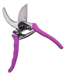 Tree Pruning Tools Royalty Free Stock Photos Tree Pruning Tools Royalty Free Stock Photos