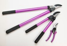 Tree Pruning Tools Royalty Free Stock Image Tree Pruning Tools Royalty Free Stock Image