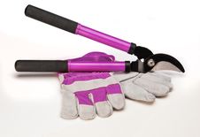 Tree Pruning Tools Royalty Free Stock Images Tree Pruning Tools Royalty Free Stock Images