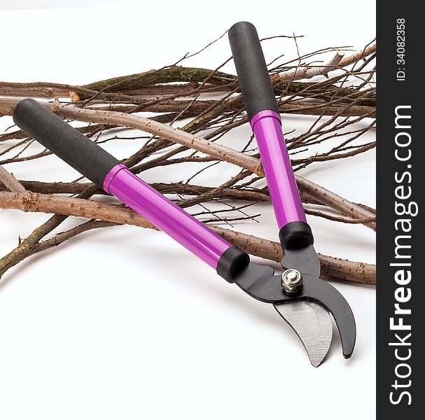 Tree Pruning Tools