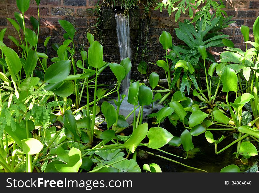 Plants at an indoor garden.