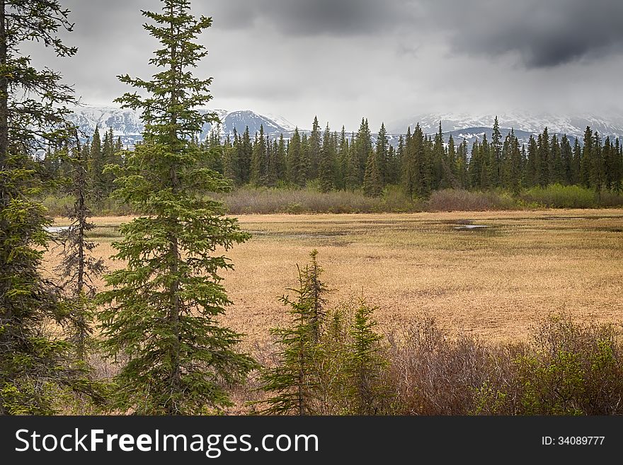 The remote and wonderful Alaskan landscape