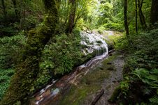 Waterfall In The Forest Royalty Free Stock Photo Waterfall In The Forest Royalty Free Stock Photo