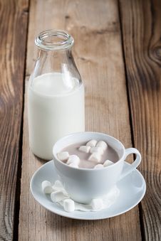 Cup Of Hot Chocolate With Marshmallows Stock Image