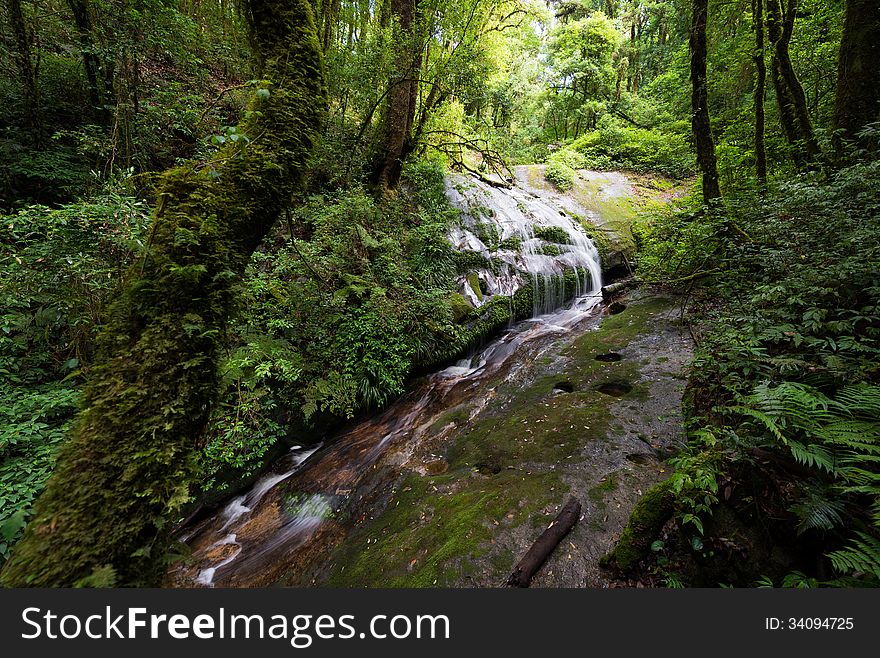 Waterfall in the forest, Giu Mae Pan, Chiang Mai Thailand