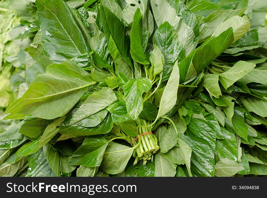 Amaranth (Amaranthus lividus) in market, Thailand. Amaranth (Amaranthus lividus) in market, Thailand