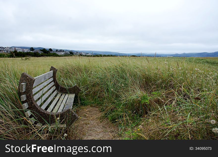 Oregon located on the west of USA nearby Pacific ocean ,bench in grass for relaxation. Oregon located on the west of USA nearby Pacific ocean ,bench in grass for relaxation