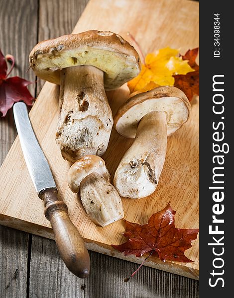 White Mushroom (cep) and maple leaves on a wooden background. White Mushroom (cep) and maple leaves on a wooden background