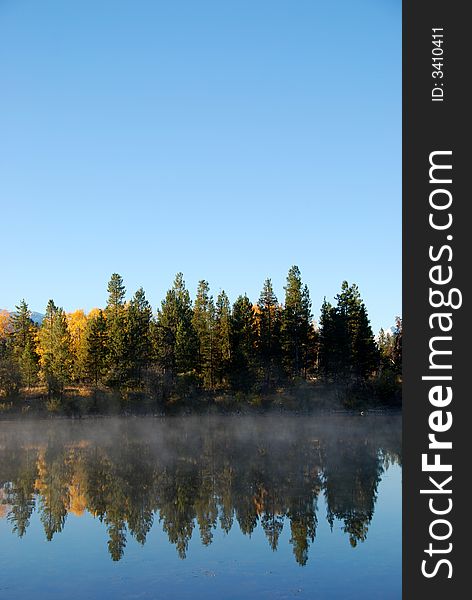 Trees reflecting in the water. Trees reflecting in the water