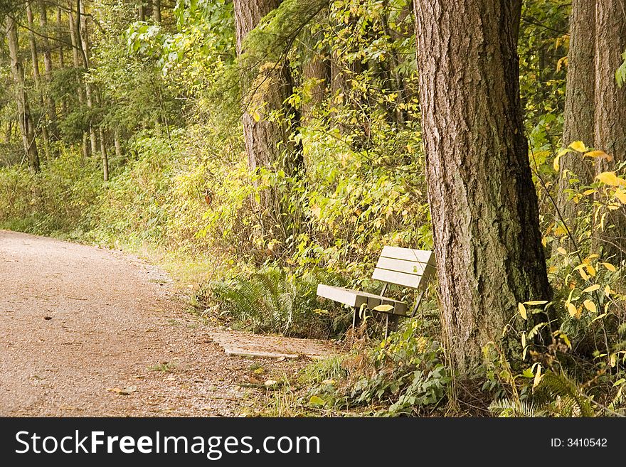 An empty green bench on a path in the forest. An empty green bench on a path in the forest