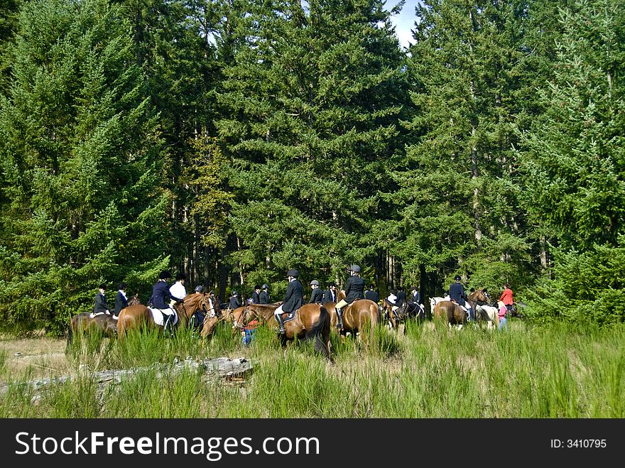 Horses performing at the Woodbrook Hunt Club. Horses performing at the Woodbrook Hunt Club