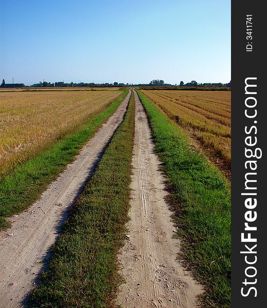 A narrow country road through rice fields (after the harvest) in Lomellina, Italy