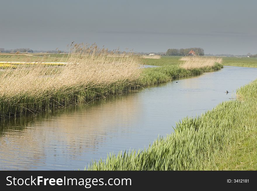 A small channel runs through the Dutch polder landscape. It is an important channel for local water mangement and an imporatant piece of nature in a very populated zone. A small channel runs through the Dutch polder landscape. It is an important channel for local water mangement and an imporatant piece of nature in a very populated zone.