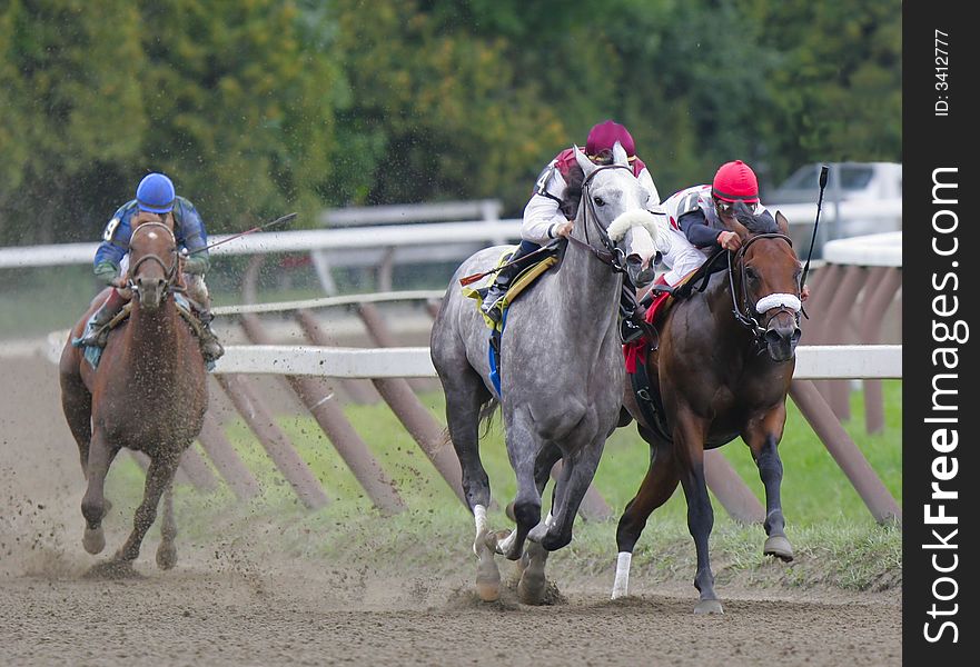 A grey thoroughbred breaks ahead of his rivals in a thoroughbred race. A grey thoroughbred breaks ahead of his rivals in a thoroughbred race.