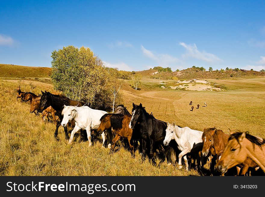Autumn, browse house in grassland,inner Mongolia,China