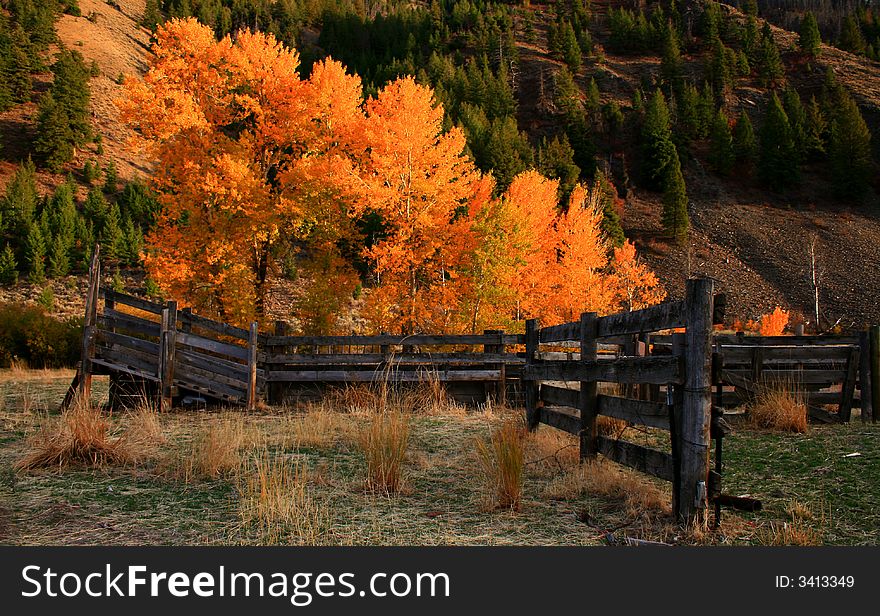 Quigley creek corral and load chute, central Idaho autumn