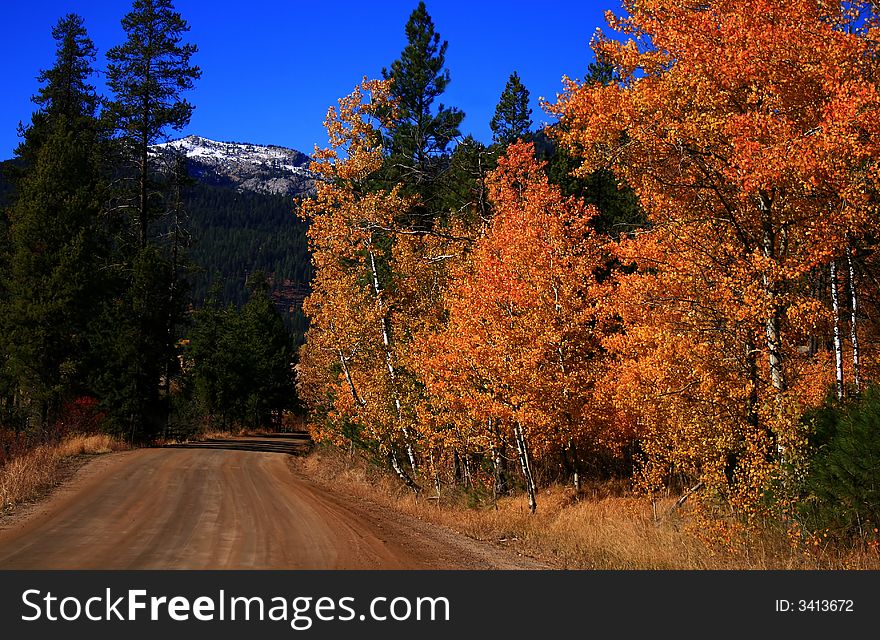 Country road in the peak of autumn colors, Idaho. Country road in the peak of autumn colors, Idaho