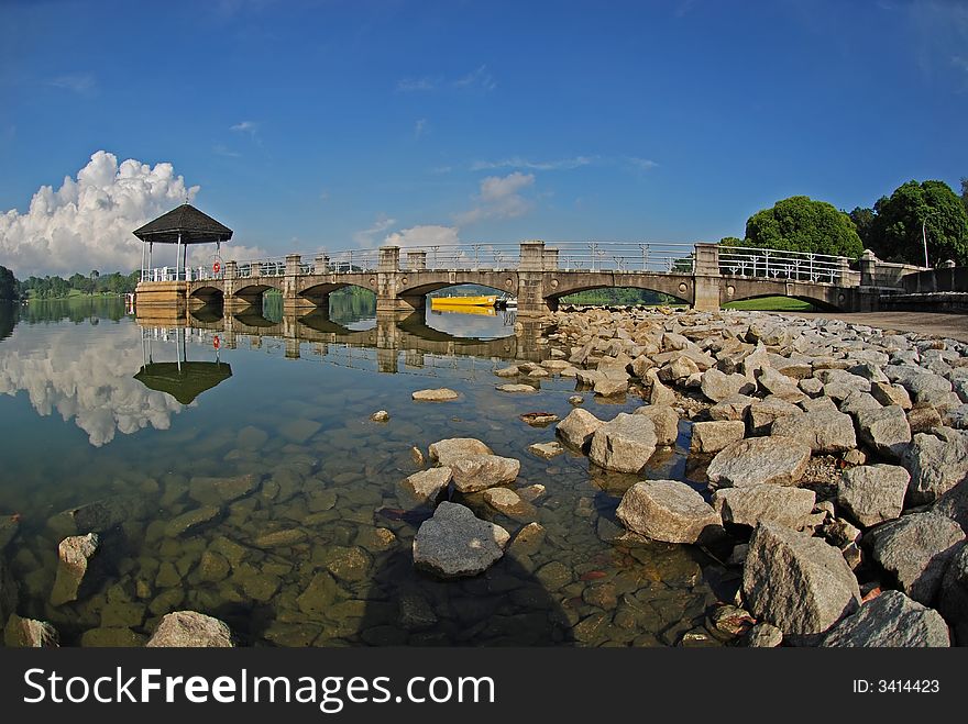 Reservoir Bank,water And Plant