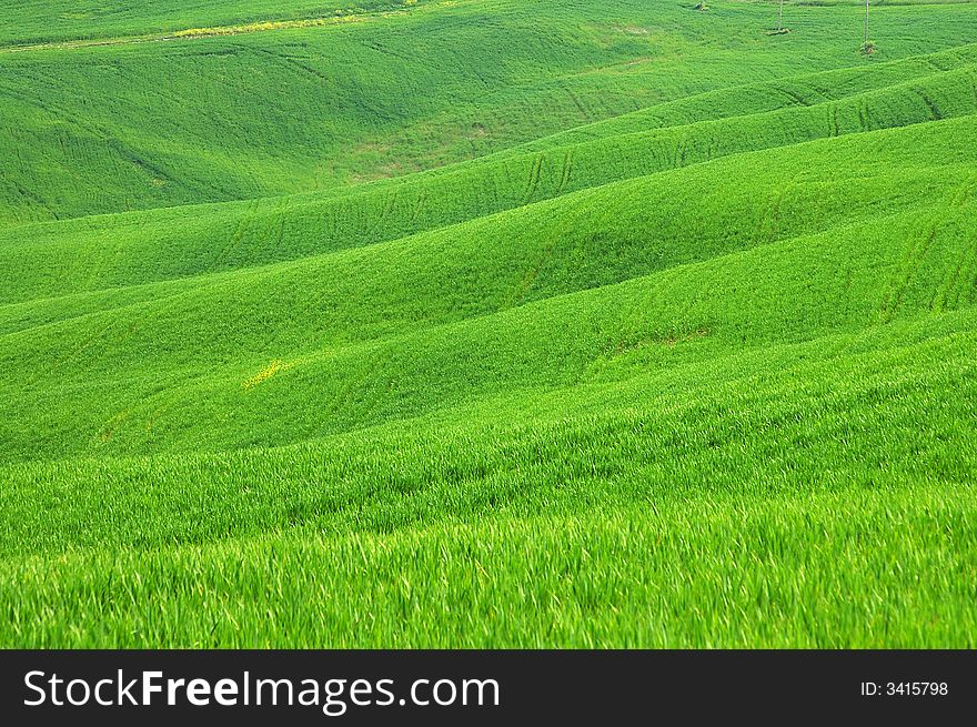 Landscape,Tuscany Val D Orcia