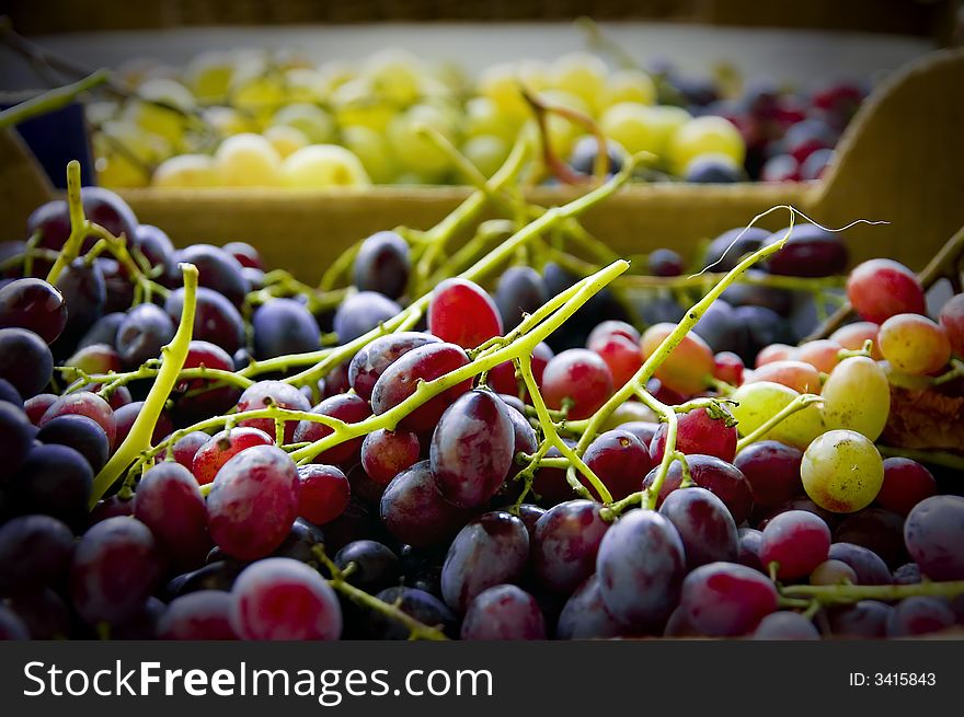 Fresh grapes are picked and readily for eat