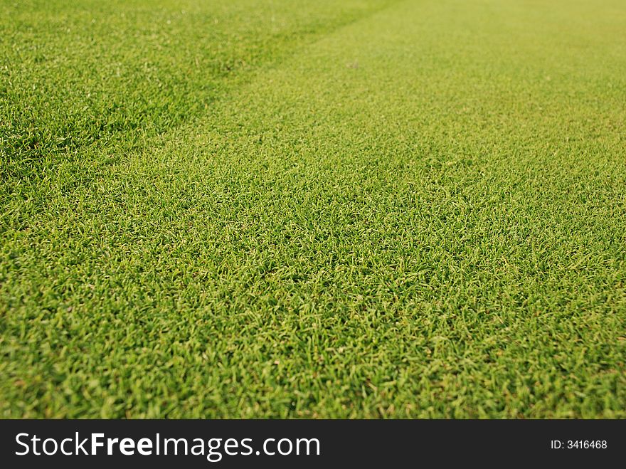Golf Gren - Grass