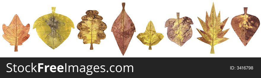 A line of painted leaves in autumn. Isolated image. A line of painted leaves in autumn. Isolated image