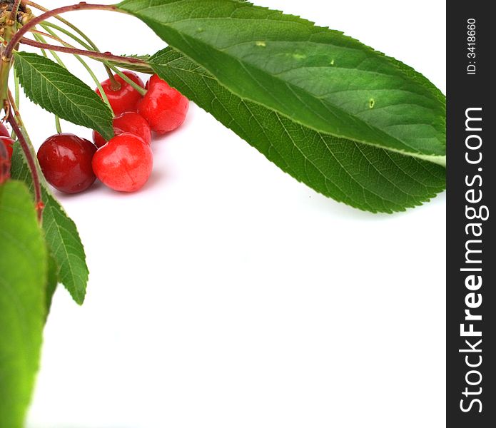 Red cherries with green leaves on the white background