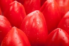 Bell Pepper Red Tile Drops Stock Image