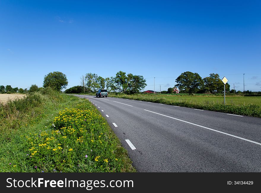 Blooming Roadside