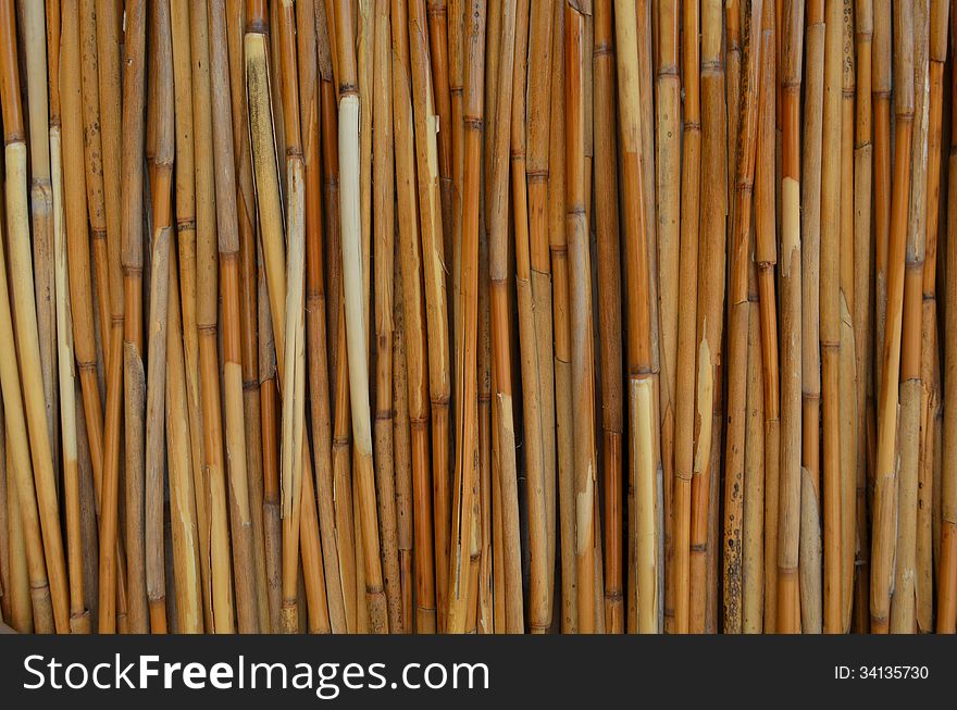 Wooden background (detail of wood timber)
